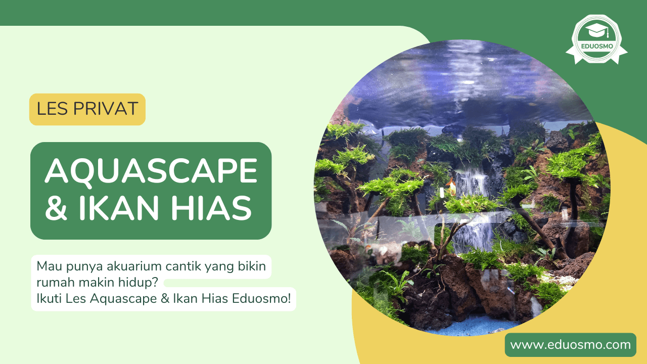 Les Privat Aquascape Ikan Hias di Bandung